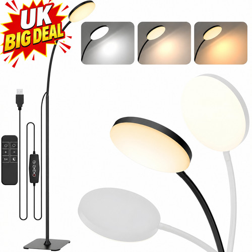 Remote control led floor lamp - control,