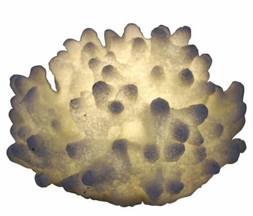 Mini bulged coral lamp - bulged,