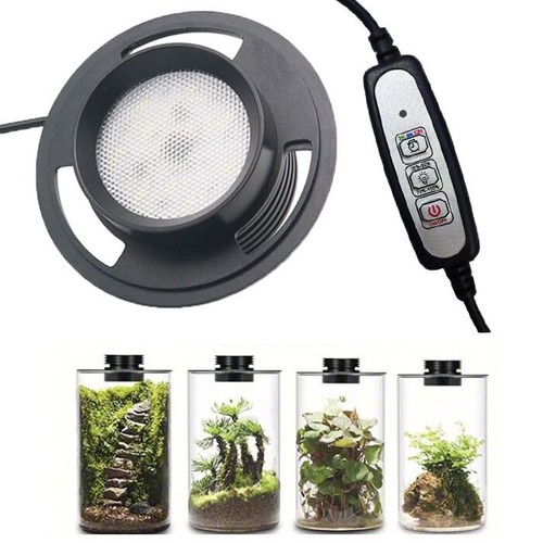 Dimmable usb terrarium plant - usb,