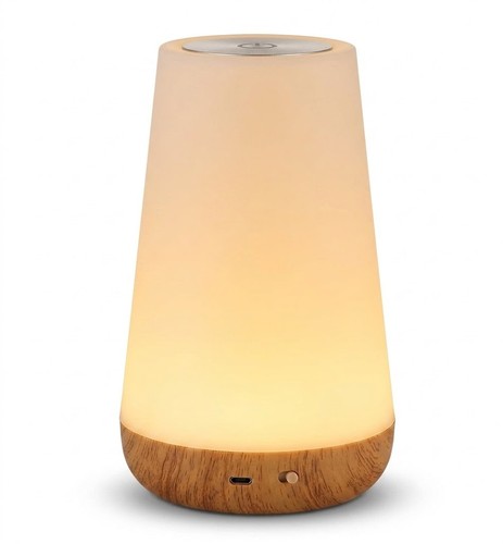 Led night light touch lamp - led,